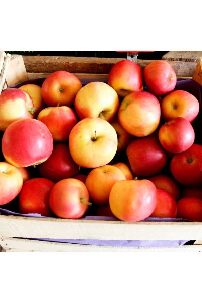 Apfel Box 3 kg