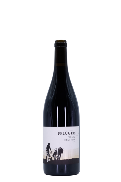 Pflüger Pinot Noir Ölberg